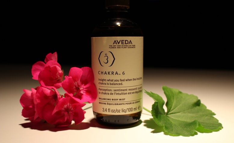 13chakraveda2