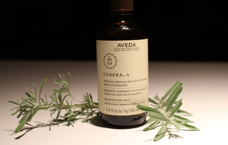 13chakraveda3