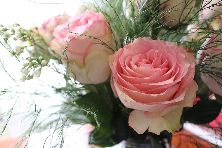 14blushrose3