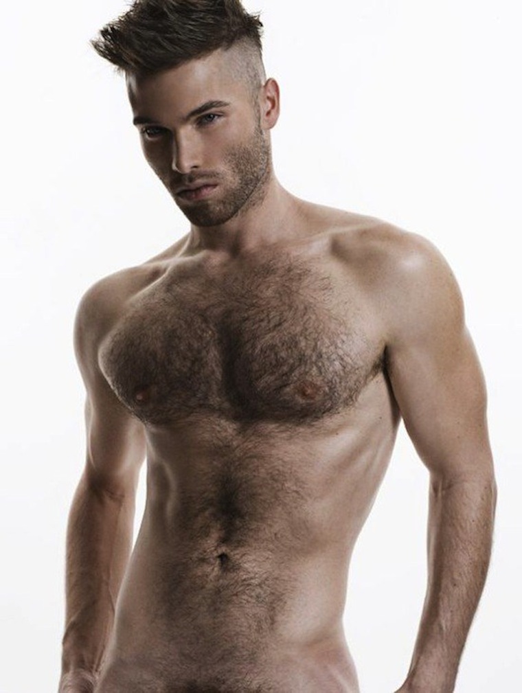 Hairy Gay Videos 34