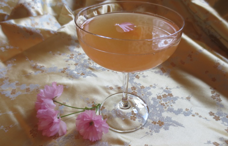 16sakura06